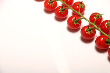 Ripe fresh Juicy organic cherry tomatoes closeup on branch isolated on a white background.