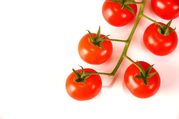 Ripe fresh Juicy organic cherry tomatoes closeup on branch isolated on a white background.