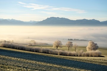 Field and mountains covered with morning fog