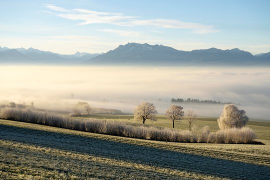Field and mountains covered with morning fog