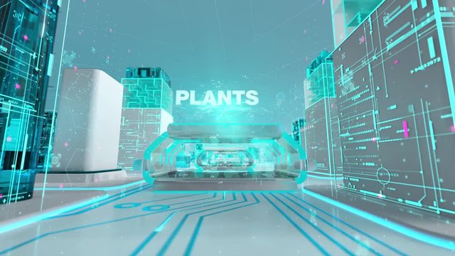Herbal with medical digital technology concept