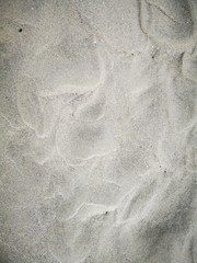 Closeup and macro shot on sandy beach  during the low tide.
