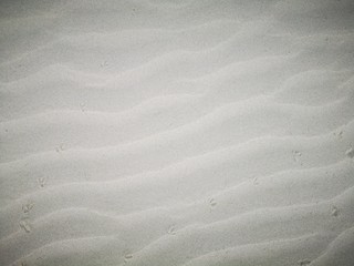 Fototapeta premium Closeup and macro shot on sandy beach during the low tide.