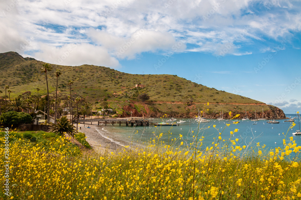 Wall mural Santa Catalina Island Two Harbors