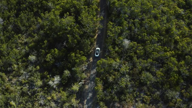 Hawaii, USA - The much anticipated Tesla Model 3 electric vehicle driving on singe lane road on Hawaiian Mountain.