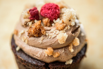 A single dark chocolate cupcake with icing and red raspberry on top