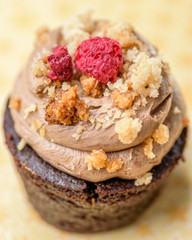 A single dark chocolate cupcake with icing and red raspberry on top