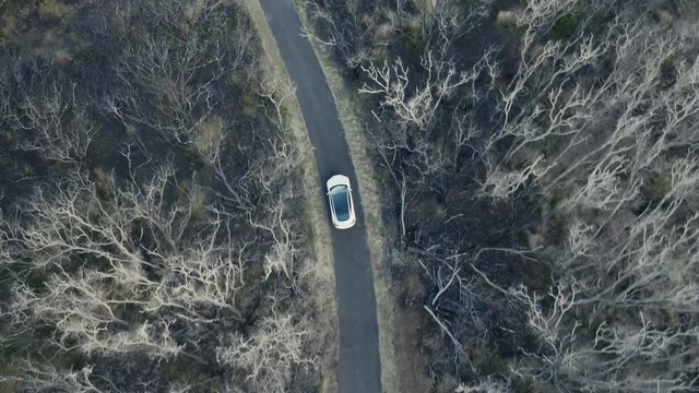 Hawaii, USA - The much anticipated Tesla Model 3 electric vehicle driving on singe lane road on Hawaiian Mountain.