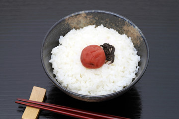 ご飯　梅干し　しそ