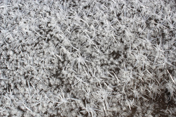 snowflakes on the ice. gray abstract background, frozen water with ice crystals