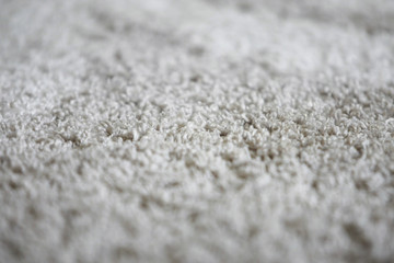 Carpet Texture Background