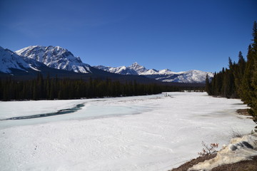Fototapeta na wymiar Athabasca River in Winter