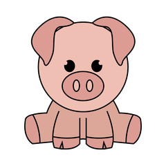 Abstract cute pig
