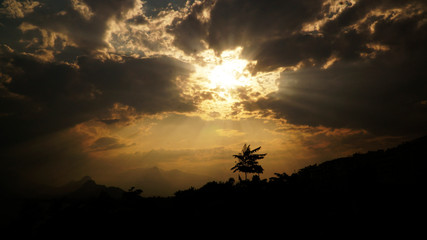 Dark clouds with sunlights shining to alone tree