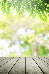 Empty wooden and blurred green nature garden background.