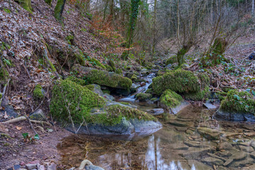 Small torrent in the forest with moss-covered rocks