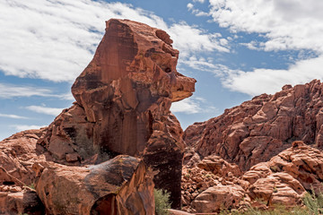 A boulder in Red Rock Canyon resembling a dog's face.