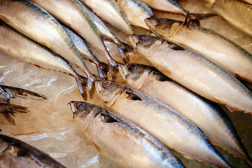 fresh fish in the market