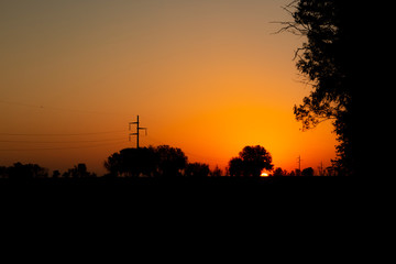 Fototapeta premium Sunset in the park
