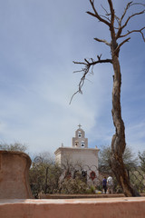 A lone tree standing guard over the old spanish mission