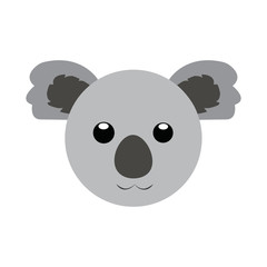 isolated koala face