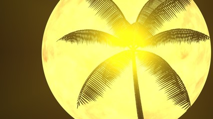 3d rendering palm tree and sunlight