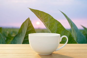 cup of green tea in the morning
