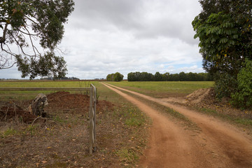 Fototapeta na wymiar Dirt road access to a farm on the Atherton Tablelands in Tropical North Queensland, Australia