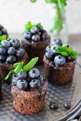 Chocolate Muffins with Chocolate and Blueberries
