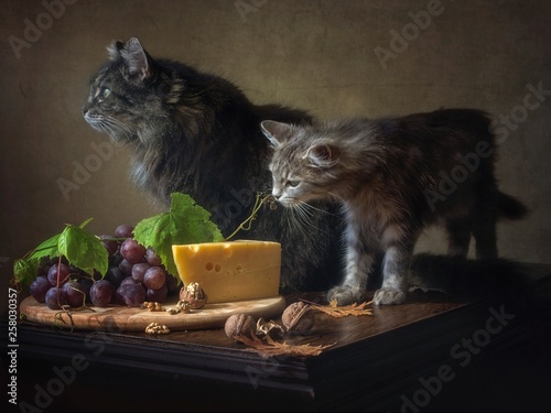 Still Life With Cheese And Grapes And Curious Kitty Stock