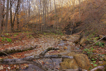 Fototapeta na wymiar River mountain autumn wild tourism treck.