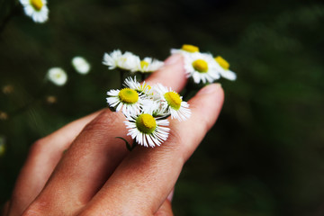 Daisies on fingers