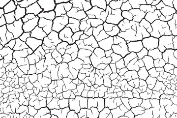 The cracks texture white and black. Vector background.Cracked earth. Structure of cracking. Cracks in dry surface soil texture. shards