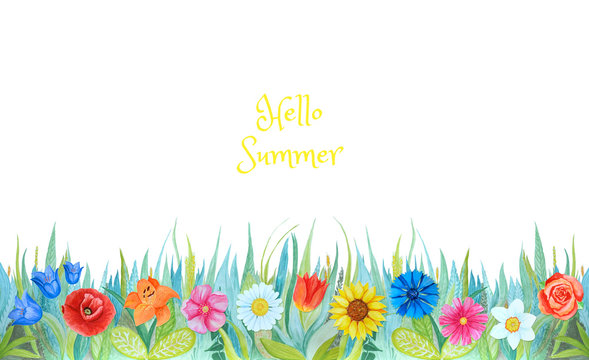 Hand drawn watercolor botanical illustration. Blue and green grass with bright different flowers. Plants isolated on white background. Flower bed. Hello summer!