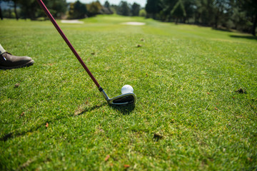 golf ball with the iron golf club
