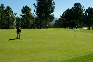 Obraz premium golf player on the green