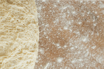 dough lying on a wooden cutting board sprinkled with flour
