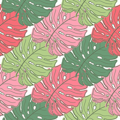 Monstera seamless pattern tropical leaf Pattern.Summer leaves tropical