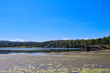 Wappa Dam in Queensland, Australia