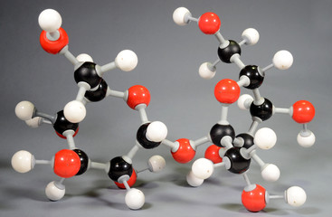 Molecule model of sugar (C12H22O11). Red is oxygen, black is carbon, and white is hydrogen.