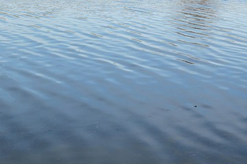 Calm blue river water background on Florida nature