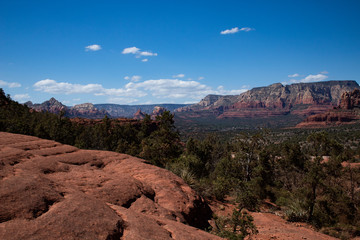 Wide Open Beauty