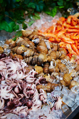 Seafood buffet, shrimps and seashells