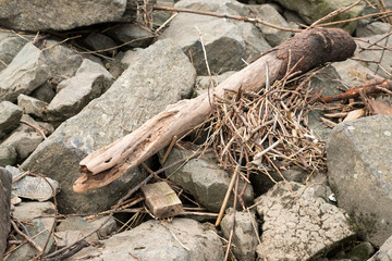 Driftwood washed up on rocks