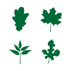 Set of green leaves isolated on white background. Flat style