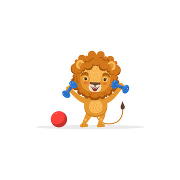 Lion Exercising with Dumbbells, Cute African Animal Cartoon Character Vector Illustration