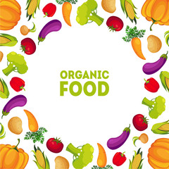 Organic Food, Farm Fresh Colorful Vegetables with Space for Text Vector Illustration