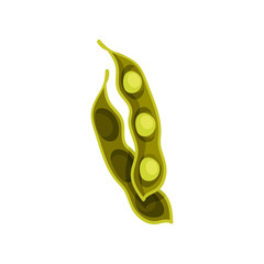 Soybean pod on white background. Vector illustration.