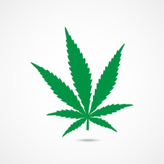 Cannabis vector icon