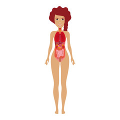 Human organs vector illustration. Human anatomical woman silhouette with organs. Heart, lungs, stomach, intestines, kidneys, liver illustration